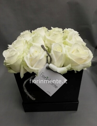 composizione in scatola